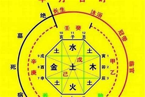 喜用金土|八字喜用神金土(喜用神是金土怎么旺自己)